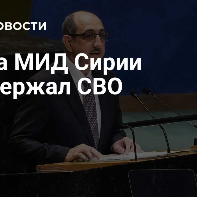 Глава МИД Сирии поддержал СВО