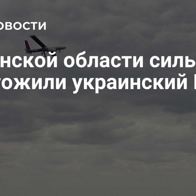 В Брянской области силы ПВО уничтожили украинский БПЛА