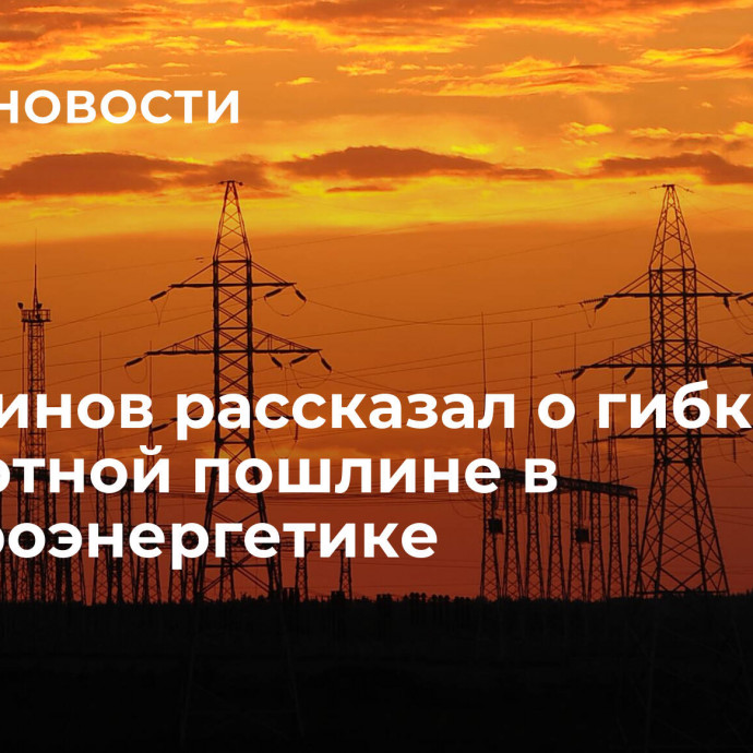 Шульгинов рассказал о гибкой экспортной пошлине в электроэнергетике