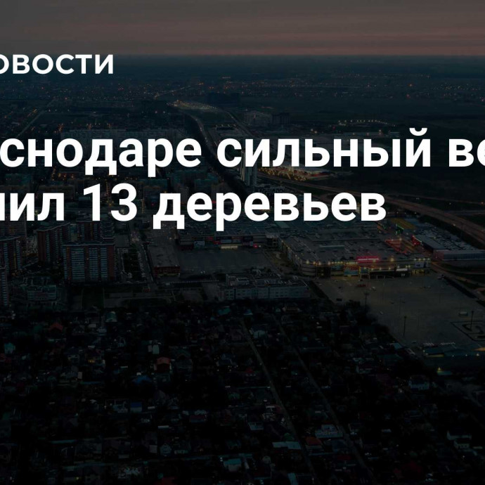 В Краснодаре сильный ветер повалил 13 деревьев