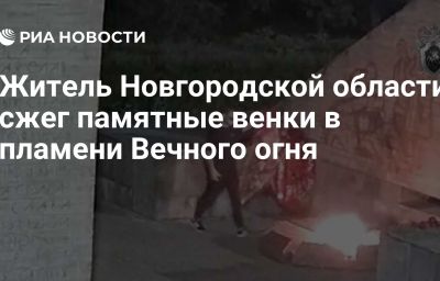 Житель Новгородской области сжег памятные венки в пламени Вечного огня