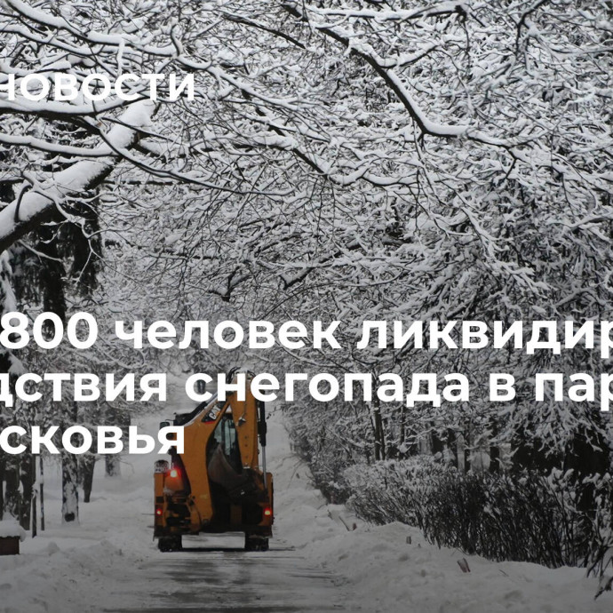 Более 800 человек ликвидировали последствия снегопада в парках Подмосковья