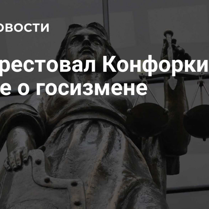 Суд арестовал Конфоркину по статье о госизмене