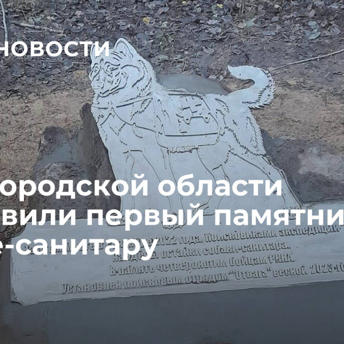 В Новгородской области установили первый памятник собаке-санитару