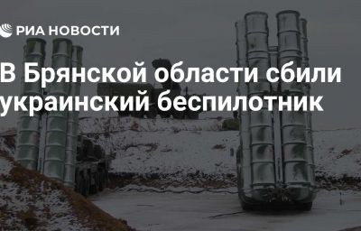 В Брянской области сбили украинский беспилотник