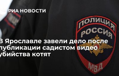 В Ярославле завели дело после публикации садистом видео убийства котят