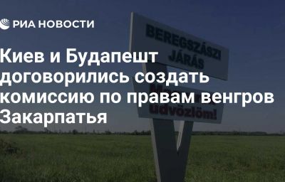 Киев и Будапешт договорились создать комиссию по правам венгров Закарпатья