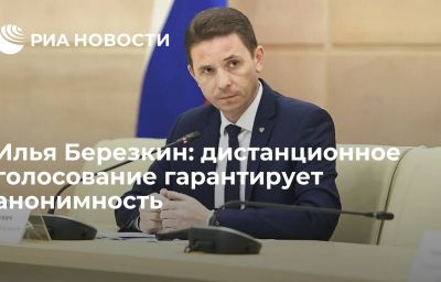 Илья Березкин: дистанционное голосование гарантирует анонимность