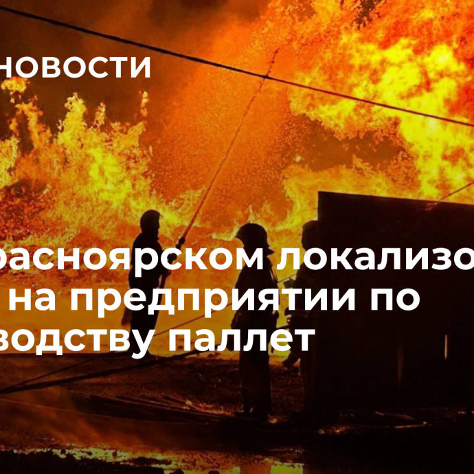 Под Красноярском локализовали пожар на предприятии по производству паллет