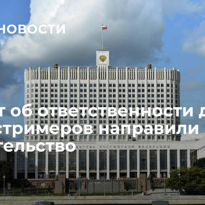 Проект об ответственности для треш-стримеров направили в правительство