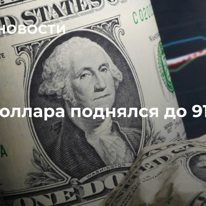 Курс доллара поднялся до 91,44 рубля