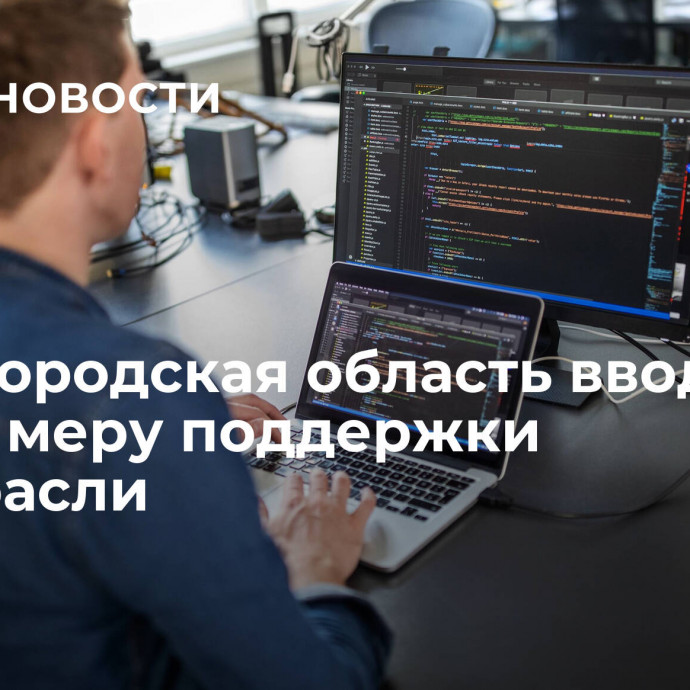 Нижегородская область вводит новую меру поддержки ИТ-отрасли