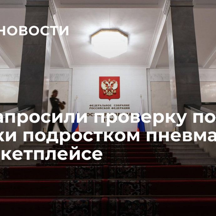 В ГД запросили проверку после покупки подростком пневматики на маркетплейсе