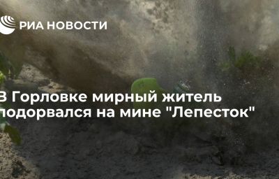 В Горловке мирный житель подорвался на мине "Лепесток"