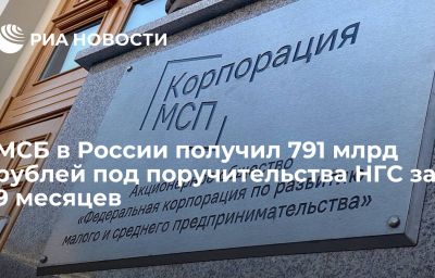 МСБ в России получил 791 млрд рублей под поручительства НГС за 9 месяцев