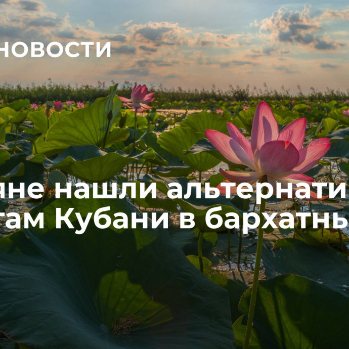 Россияне нашли альтернативу курортам Кубани в бархатный сезон