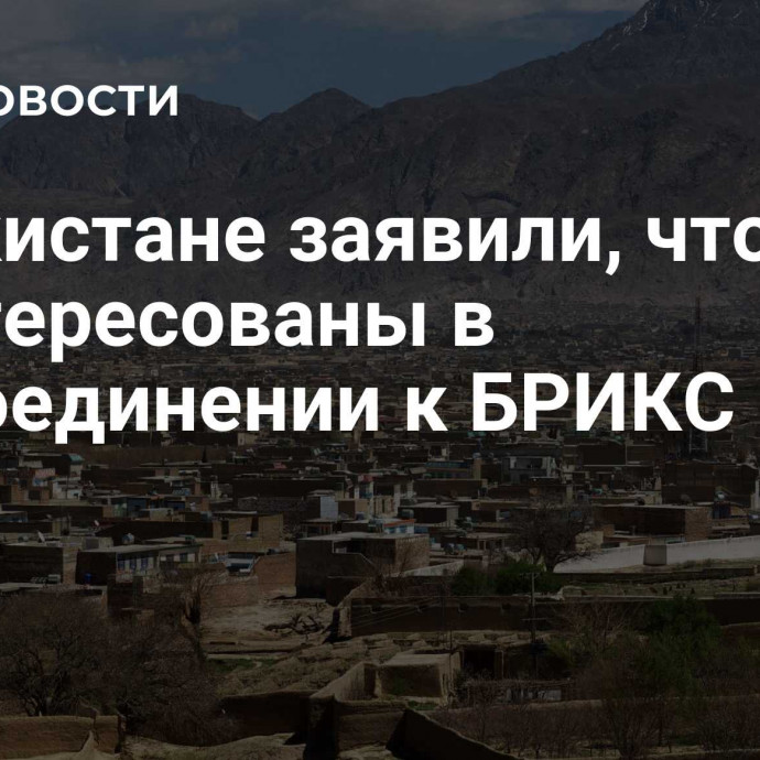 В Пакистане заявили, что заинтересованы в присоединении к БРИКС