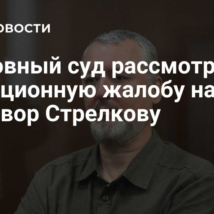 Верховный суд рассмотрит кассационную жалобу на приговор Стрелкову