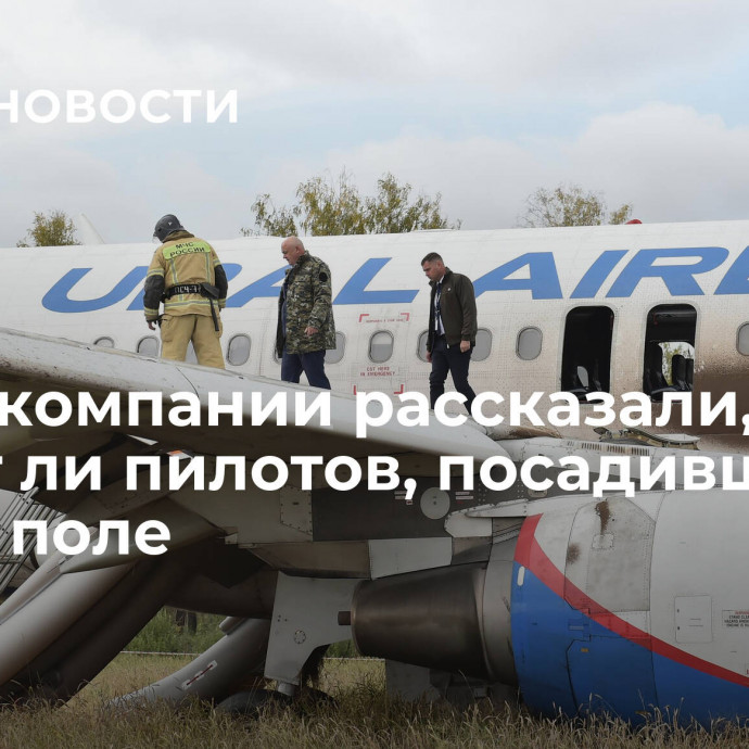 В авиакомпании рассказали, уволят ли пилотов, посадивших A320 в поле