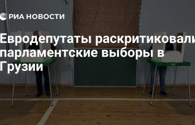 Евродепутаты раскритиковали парламентские выборы в Грузии