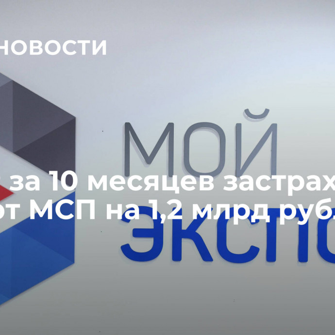 ЭКСАР за 10 месяцев застраховал экспорт МСП на 1,2 млрд рублей