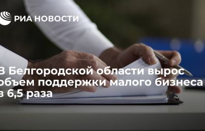 В Белгородской области вырос объем поддержки малого бизнеса в 6,5 раза