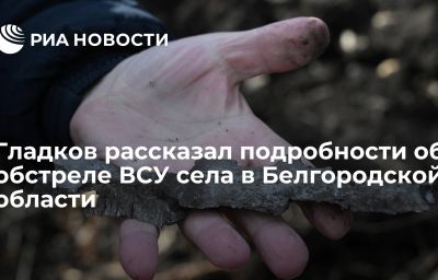 Гладков рассказал подробности об обстреле ВСУ села в Белгородской области