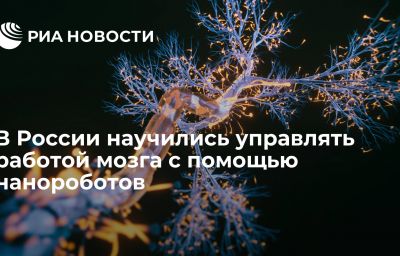 В России научились управлять работой мозга с помощью нанороботов