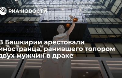 В Башкирии арестовали иностранца, ранившего топором двух мужчин в драке