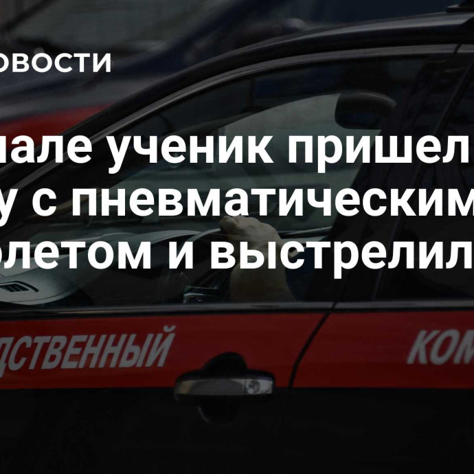 На Ямале ученик пришел в школу с пневматическим пистолетом и выстрелил