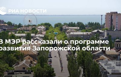 В МЭР рассказали о программе развития Запорожской области