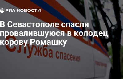 В Севастополе спасли провалившуюся в колодец корову Ромашку