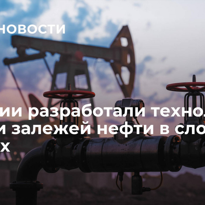 В России разработали технологию оценки залежей нефти в сложных пластах