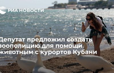 Депутат предложил создать зоополицию для помощи животным с курортов Кубани