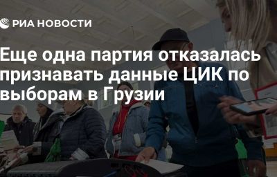 Еще одна партия отказалась признавать данные ЦИК по выборам в Грузии