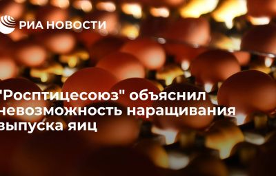 "Росптицесоюз" объяснил невозможность наращивания выпуска яиц