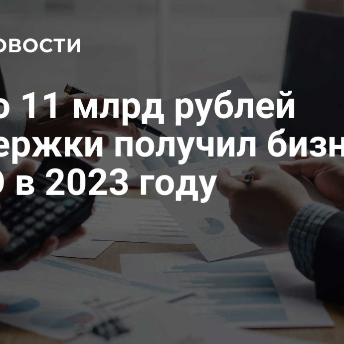 Около 11 млрд рублей поддержки получил бизнес СКФО в 2023 году