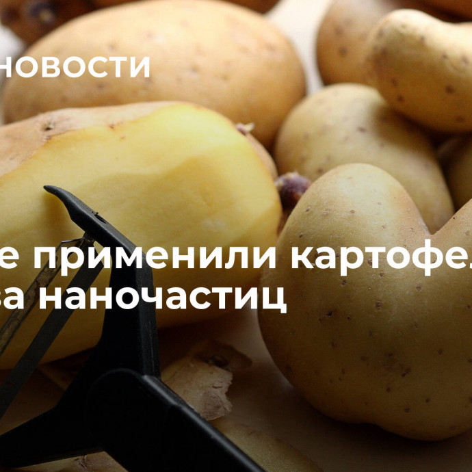 Ученые применили картофель для синтеза наночастиц