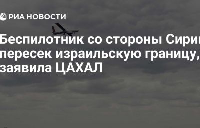 Беспилотник со стороны Сирии пересек израильскую границу, заявила ЦАХАЛ