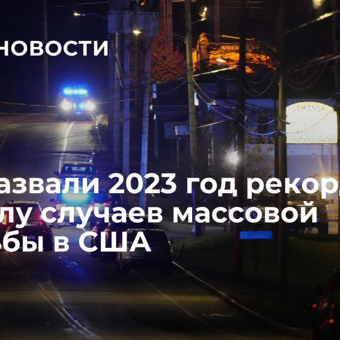 СМИ назвали 2023 год рекордным по числу случаев массовой стрельбы в США