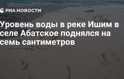 Уровень воды в реке Ишим в селе Абатское поднялся на семь сантиметров