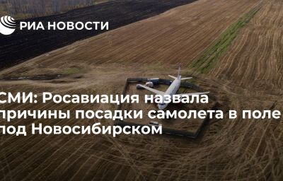 СМИ: Росавиация назвала причины посадки самолета в поле под Новосибирском