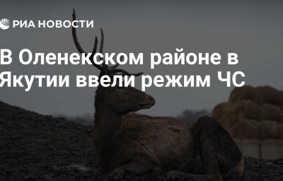 В Оленекском районе в Якутии ввели режим ЧС