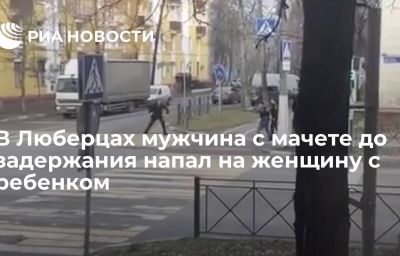 В Люберцах мужчина с мачете до задержания напал на женщину с ребенком