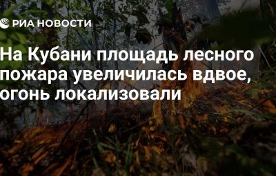 На Кубани площадь лесного пожара увеличилась вдвое, огонь локализовали