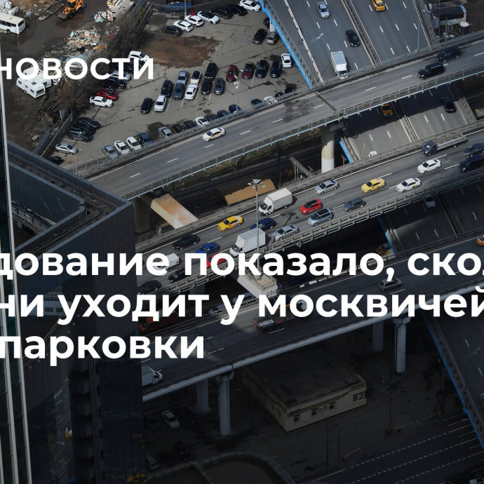 Исследование показало, сколько времени уходит у москвичей на поиск парковки