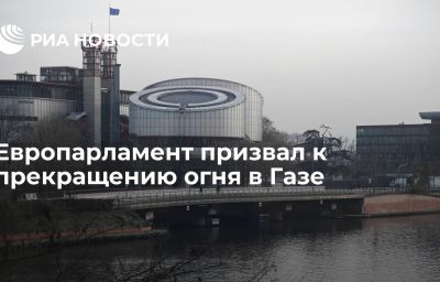 Европарламент призвал к прекращению огня в Газе