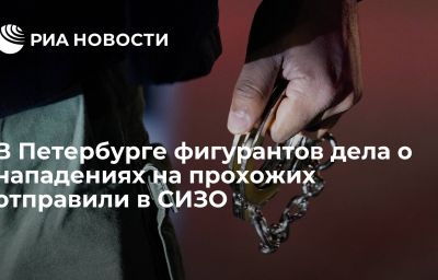 В Петербурге фигурантов дела о нападениях на прохожих отправили в СИЗО