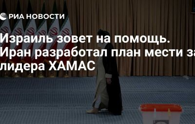 Израиль зовет на помощь. Иран разработал план мести за лидера ХАМАС