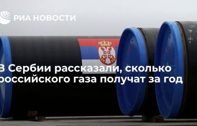 В Сербии рассказали, сколько российского газа получат за год